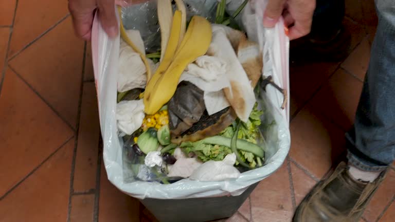 Same-Day Junk Removal Services in Bridgeport, WV